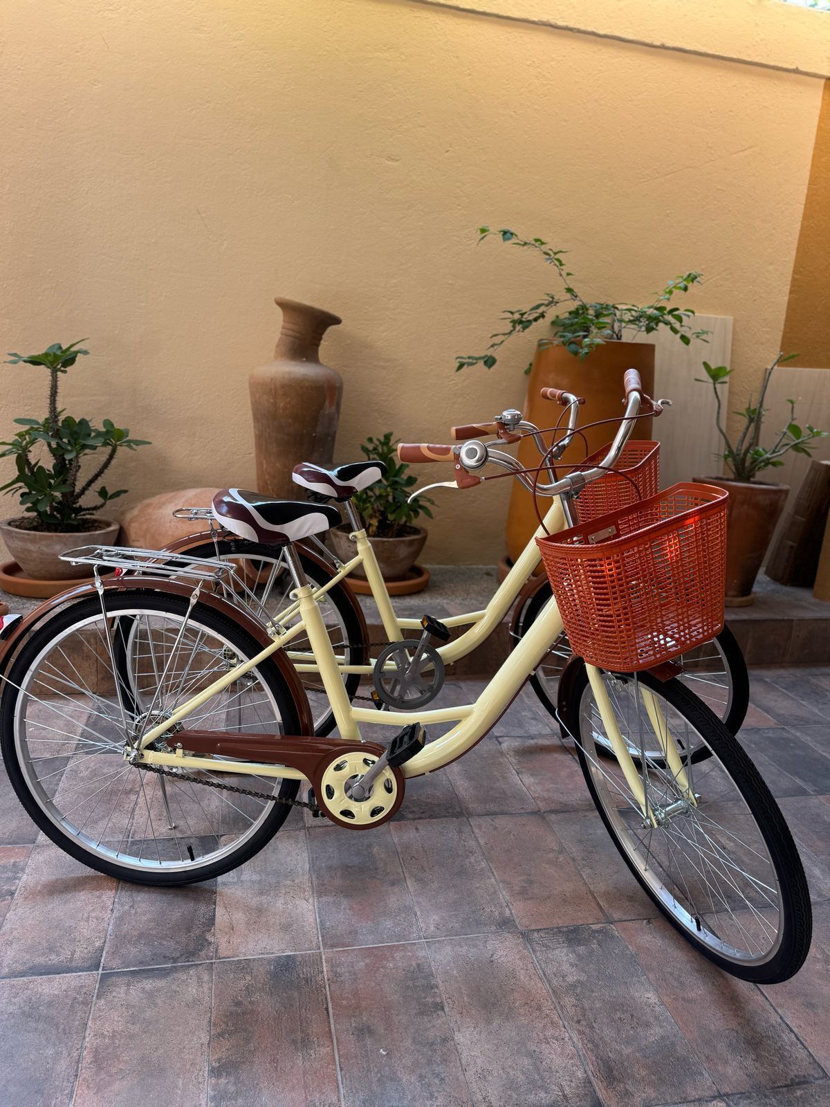 Una bicicletta vintage con un cesto e un piccolo sellino, parcheggiata su un patio piastrellato con piante in vaso e un vaso grande sullo sfondo.