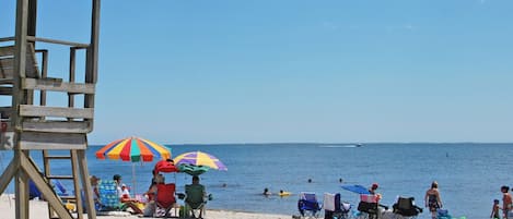 Sun-loungers, beach towels