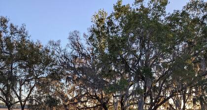 Holiday Lake Retreat, 2-bedroom, Dogs Welcome, 8 miles to Rainbow River,Sleeps 4