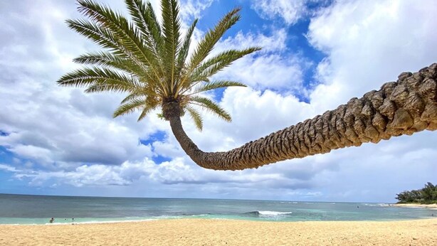 Beach - Hale Kai Bungalow - New Build on the beach! (Laie)
