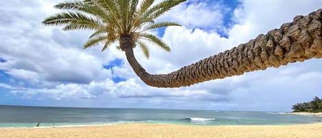 Sur la plage