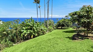 A lush green lawn with tall palm trees and dense foliage, leading to a view of the ocean.