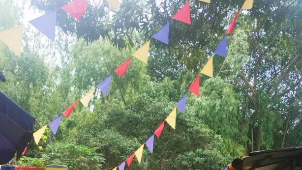 A dog walking on a green lawn in a garden area with colorful triangular flags hanging overhead. - CASA TURISTICA VALERIANA (Cali)
