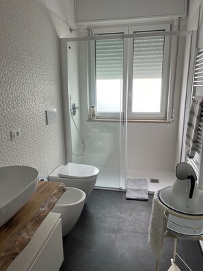 Regadera, secadora de cabello, bidet, jabón 