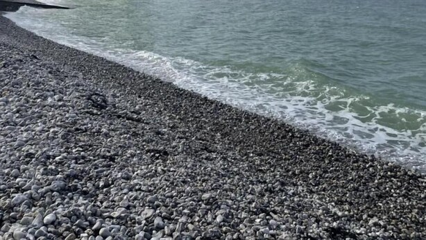 A rocky beach with a cliff and calm sea. - Gîtes de France® - La Villa Maxence (CRASVILLE LA MALLET)