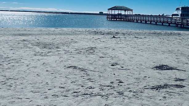 En strand med en træbro, der strækker sig ud i roligt vand, et overdækket område for enden og en klar himmel.