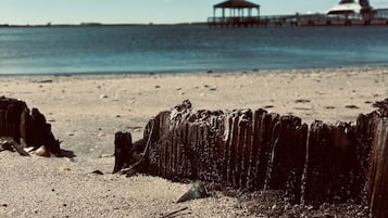 Lettini da mare