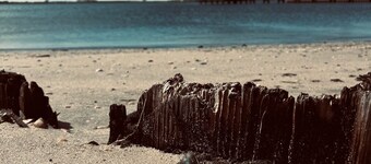 BAY AND BEACH
Relax in this well appointed beach cottage in historic Old Town