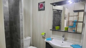 A bathroom with a toilet, a sink, a mirror, and a shower area. - T2 CREOLE apartment by the pool (Sainte-Luce)
