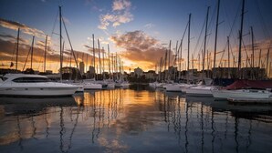 A marina with multiple sailboats docked at calm water during sunset. - Bay View in Rushcutters Bay (Sydney)