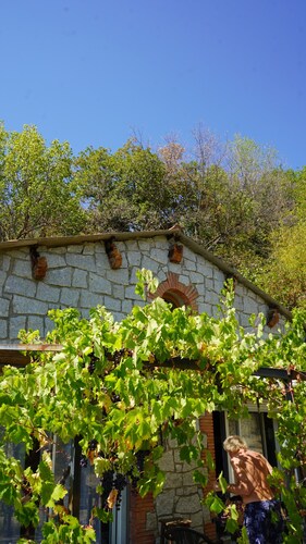 Holiday Home El Casot Alt – Mountain Views, Nature & Family Comfort in Mosset