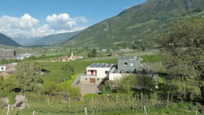 Paisaje rural con un edificio moderno y una puerta roja, rodeado de viñedos y montañas al fondo.