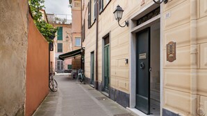 A narrow alleyway with a building on the right, a green door, and a bicycle parked outside.