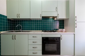 Fridge, stovetop, cookware/dishes/utensils