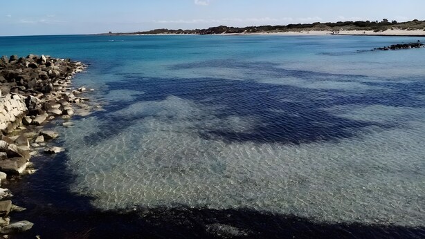 A coastal view with clear water, rocky shore, and distant beach.