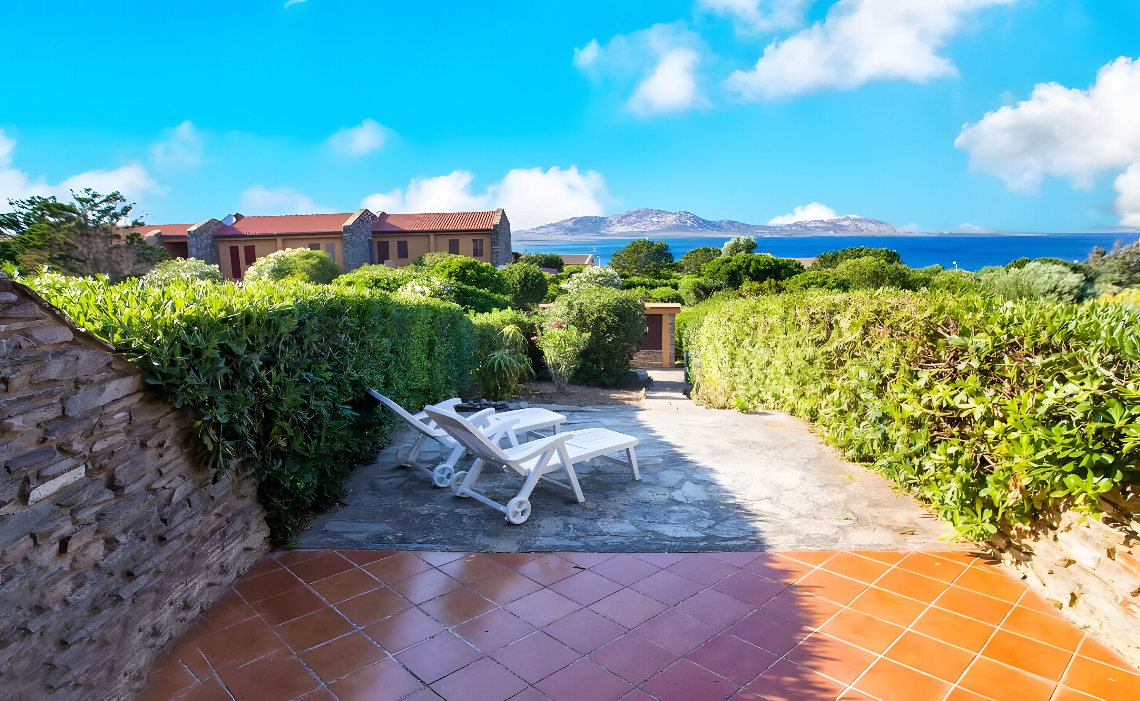 テラス / パティオ