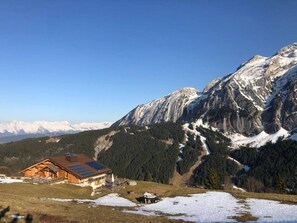 Ulkopuoli