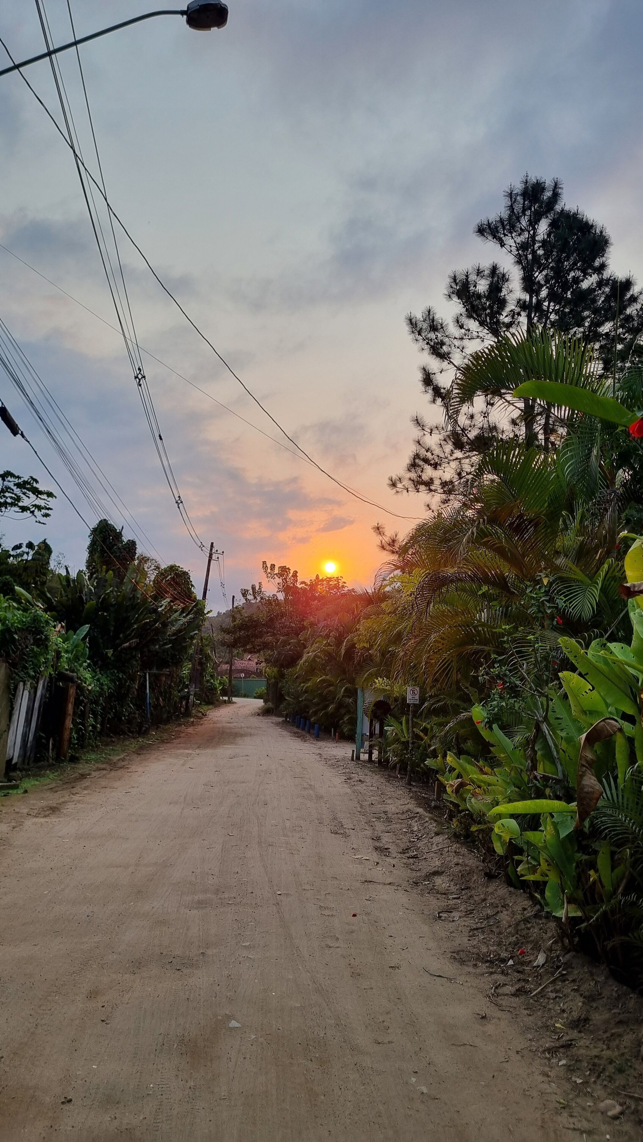 A dirt road flanked by dense vegetation and a streetlight.