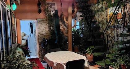 Cozy Eco Hostel with rooftop, surf, sunset, and high-speed internet