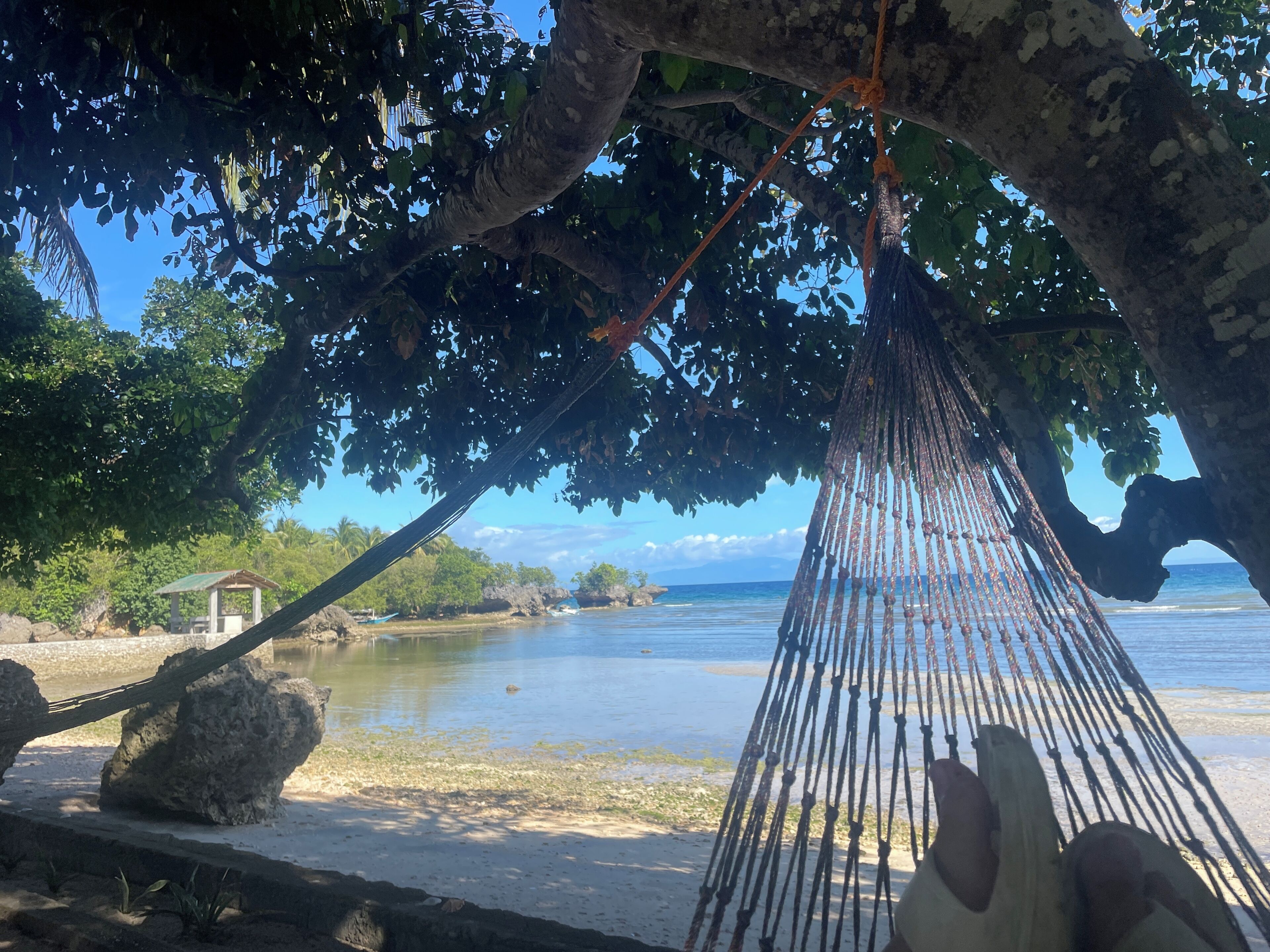 Uitzicht vanuit accommodatie