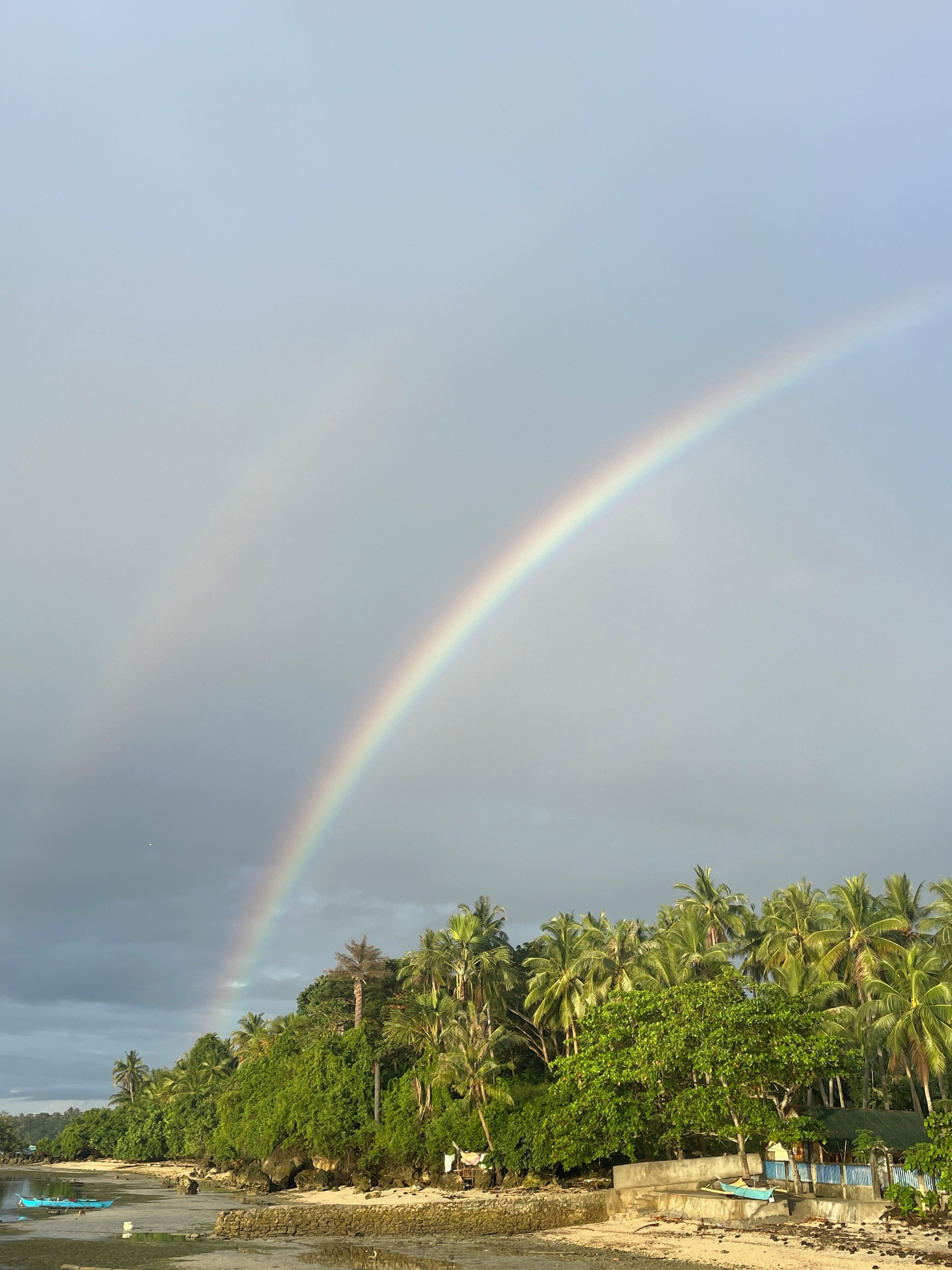 A beach with a rainbow, palm trees, and a small boat.