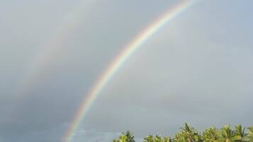A beach with a rainbow, palm trees, and a small boat.