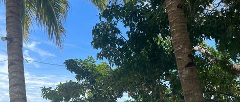 Vista a la playa o al mar