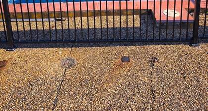 Royal Motel Rockhampton