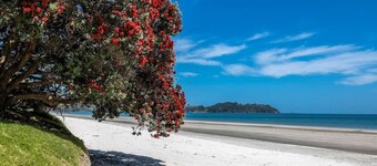 Hartlock in Onetangi - Our Island