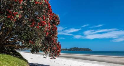 Hartlock in Onetangi - Our Island