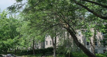 HĂąvre de paix, au coeur d'HoMa (Location moyen/long terme)