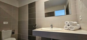 Chuveiro, secador de cabelo, toalhas de banho 