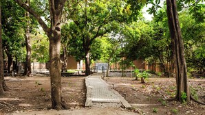 A pathway leading to a building surrounded by trees. - Private Tropical Villa with Backyard • Pool • Fast WiFi • Self Check-In (Provincia de Guanacaste)
