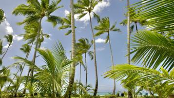 Áreas de la propiedad