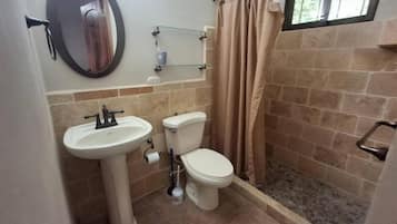 Serviettes fournies, savon, papier toilette