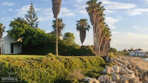 A beachfront property with a sandy beach, palm trees, and a white building. - Spinola Beachfront Bungalows - La Palmera (Sanlúcar de Barrameda)