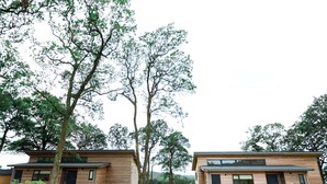 Twee moderne houten blokhutten met grote ramen, omgeven door weelderige begroeiing en bomen.