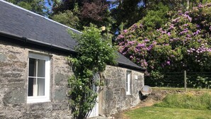 A stone house with a window, a satellite dish, and a garden with grass and flowers.