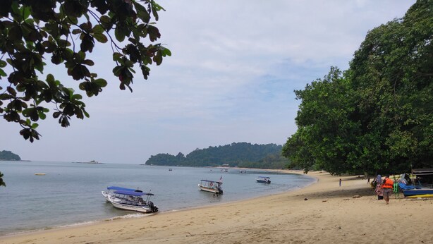 A beach with boats, a sandy shore, and a large tree. - ForgetMeNot Pangkor Homestay 70 小蓝花民宿  4-bedroom villa with WiFi, AC (Pangkor)