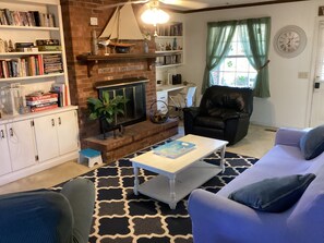 TV, fireplace, video games, books