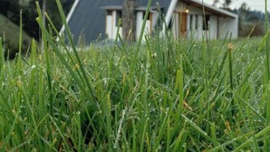 A grassy foreground with a house in the background. - Cari House Mountain View Near Volcano (Salinas)