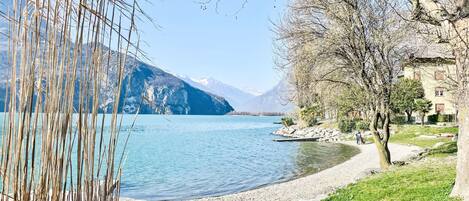 بالقرب من الشاطئ