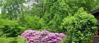 Ferienhaus in Eschede