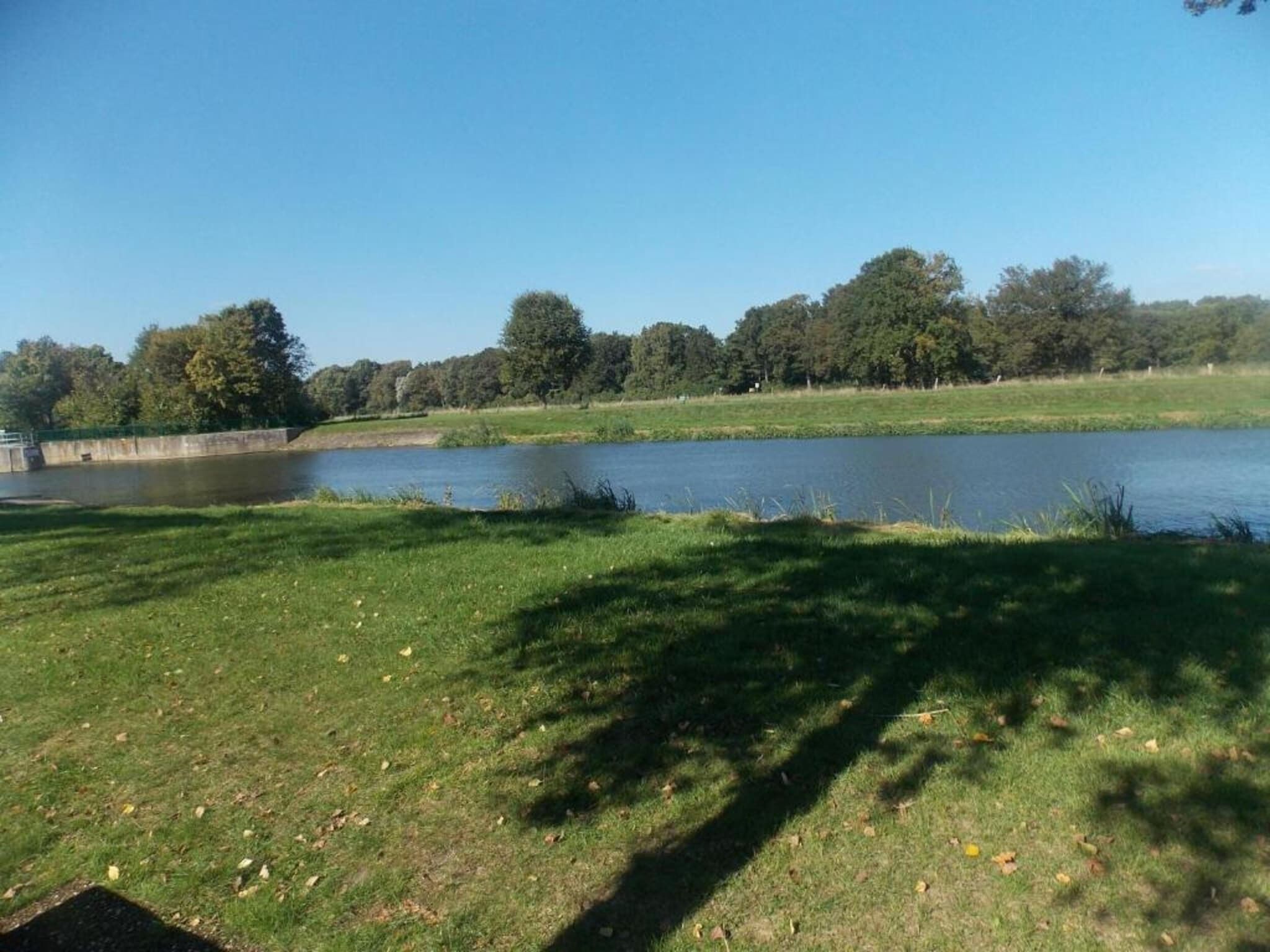 A grassy area with a pond and trees in the background.