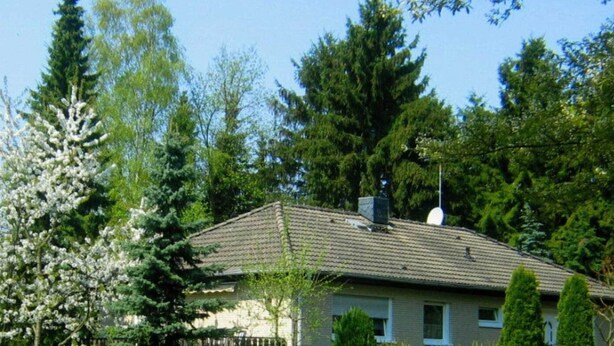 A house with a tiled roof, surrounded by trees and greenery. - Wohnung am Diemelsee bei WillingenWinterberg (Diemelsee)