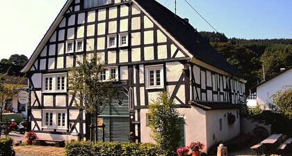 Gruppenferienhaus mit Sauna in Heinsberg