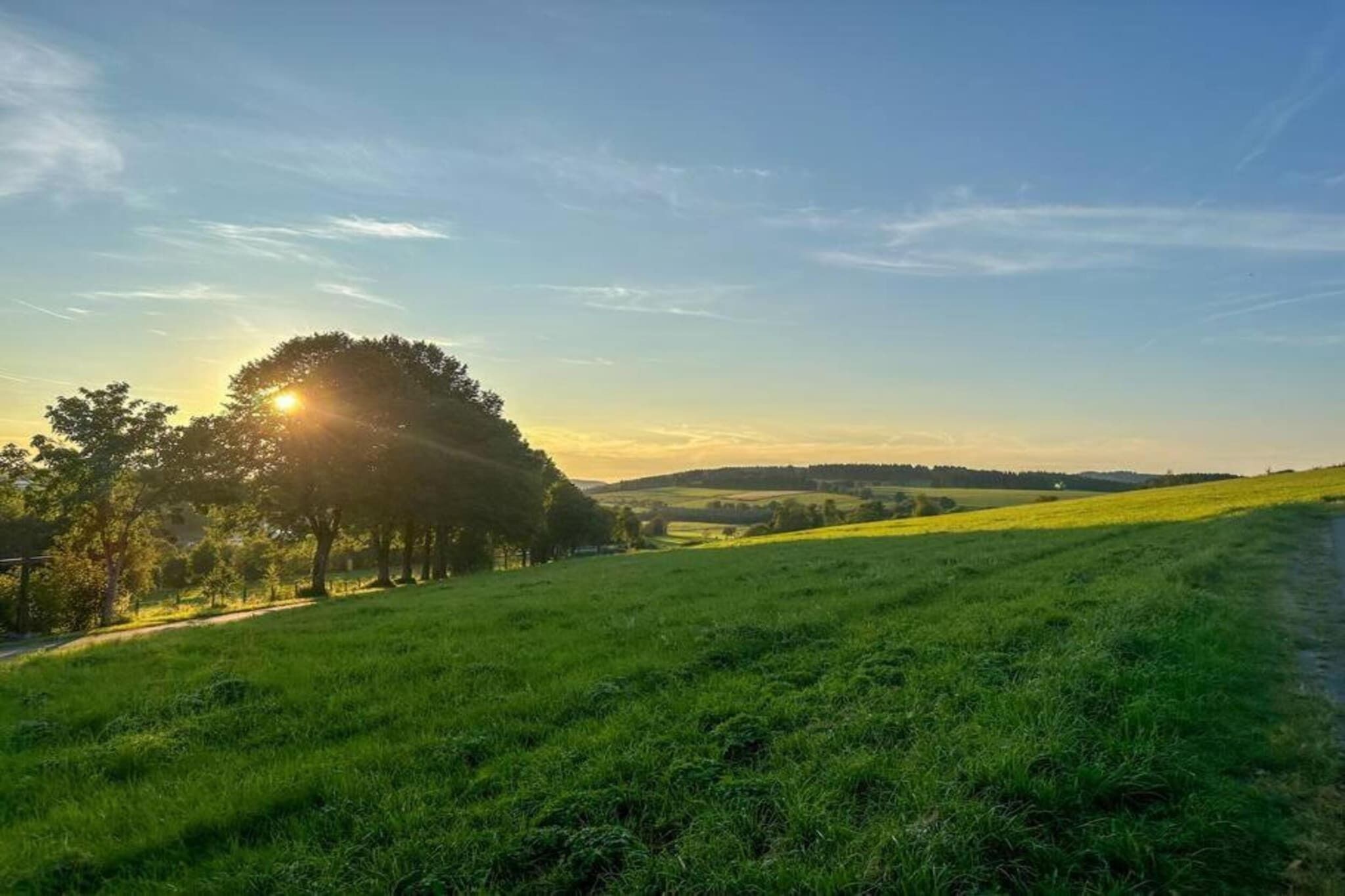 Un campo cubierto de césped con un sendero y árboles, bajo un cielo despejado.