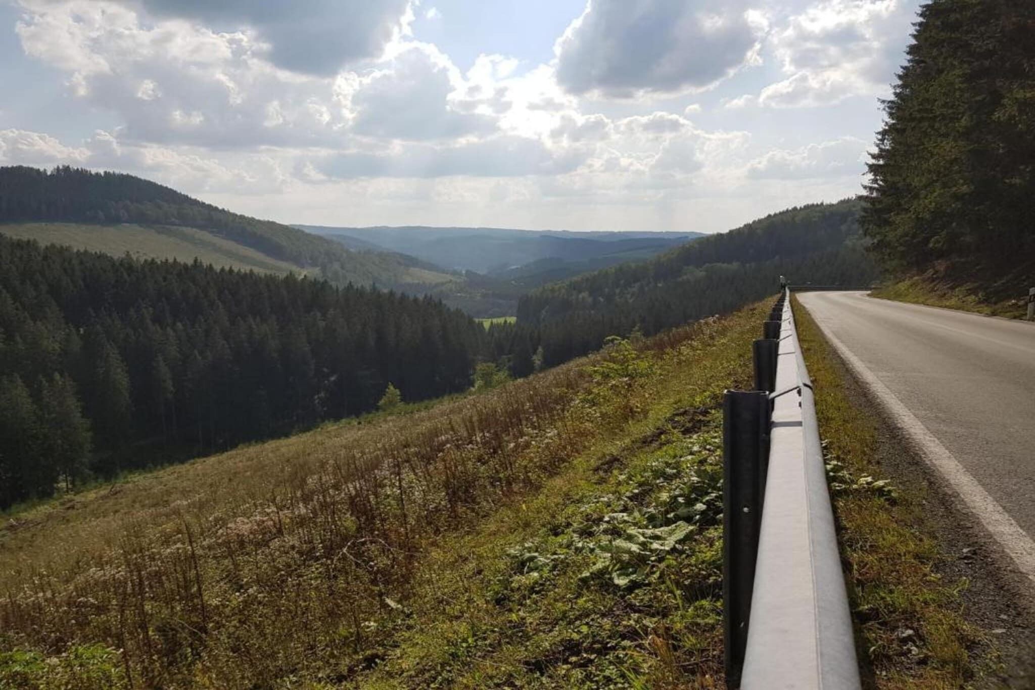 Region [summer] (>5 km)