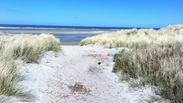 Un sentier de sable qui longe la plage et mène à l’océan, bordé de dunes herbeuses.