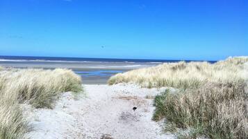 Playa en los alrededores